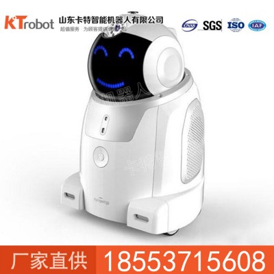 家用機器人, 智能家居機器人,家用機