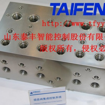 YN32-100FNBCV標(biāo)準(zhǔn)100T主缸系統(tǒng)