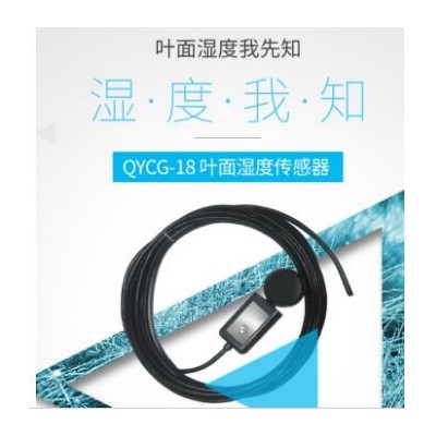 葉面濕度傳感器