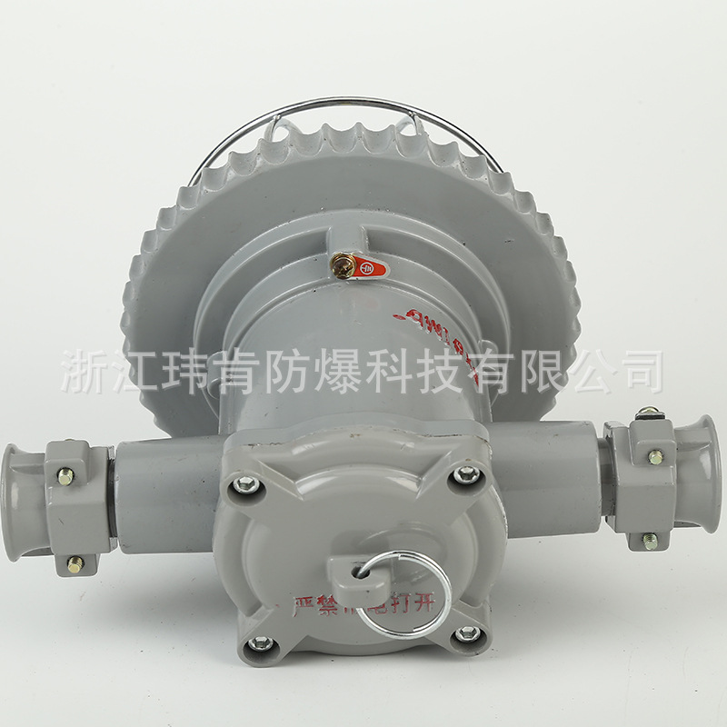 DGS-18 (6)