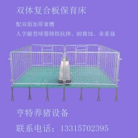 廠家批發復合仔豬保育床雙體塑料板仔豬保育床價格合理