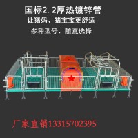 母豬產床批發雙體母豬產床常規60寬母豬分娩床亨亞畜牧養豬設備