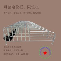 母豬限位欄定位欄養豬場設備帶漏糞板豬用復合板配件帶料槽限位欄