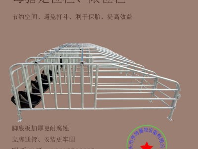 母豬限位欄定位欄養豬場設備帶漏糞板豬用復合板配件帶料槽限位欄