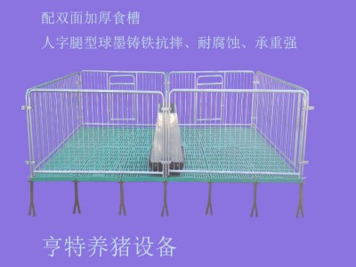 批發定制豬用保育欄廠家直銷育肥保育床仔豬保育欄塑料板復合板
