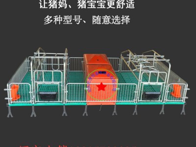 母豬用產保一體分娩床國標熱鍍鋅管母豬產床3.6米雙體單體加工