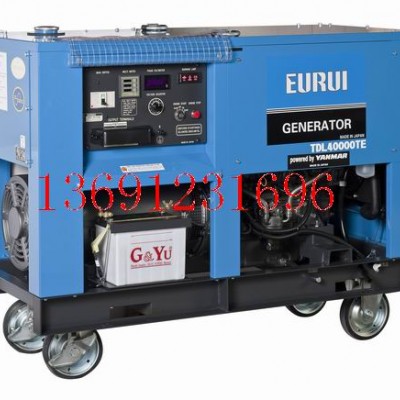 原裝日本進(jìn)口柴油發(fā)電機(jī)TDL40000TE