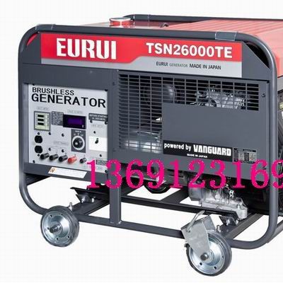 原裝日本進(jìn)口東洋發(fā)電機(jī)TSN26000TE