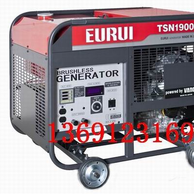 原裝日本進口汽油發電機TSN19000E