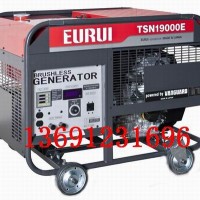 原裝日本進口汽油發電機TSN19000E