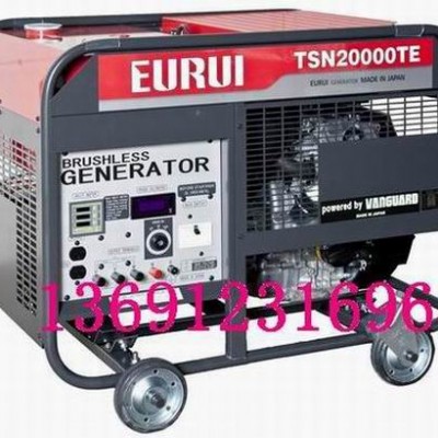 原裝日本進口東洋汽油發電機TSN2000