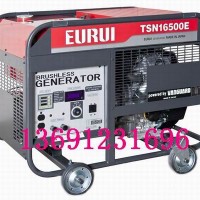 日本進口東洋發電機TSN16500E