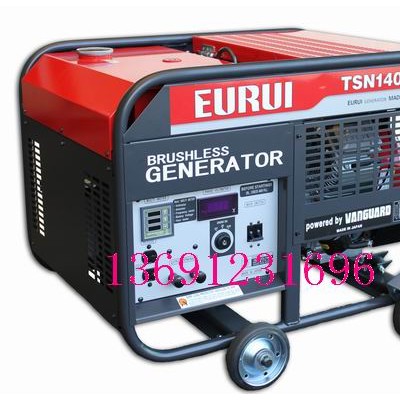 進口汽油發電機TSN14000E