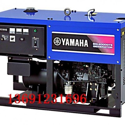 日本進口柴油發電機EDL20000TE