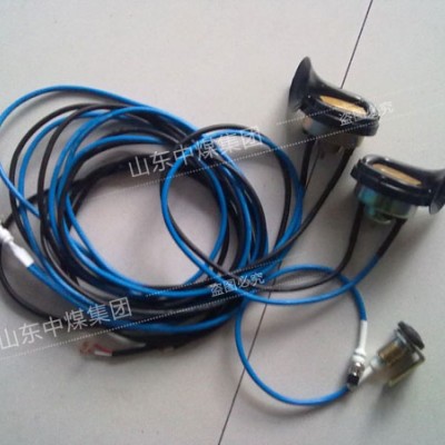 生產廠家-DLEC2本質安全型電子喇叭