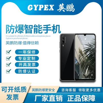 實(shí)驗(yàn)室、制藥廠防爆智能華為手機(jī) DL