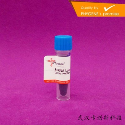 5×RNA上樣緩沖液 5mL 避光保存 質(zhì)