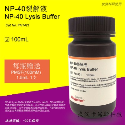NP-40裂解液 100mL 現貨供應 當天發