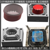 專業(yè)做18L膠水桶注塑模具廠家