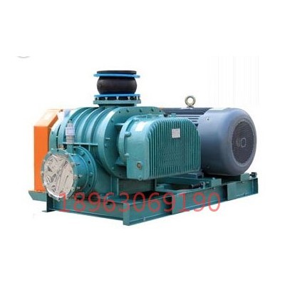 山東瑞拓RTSR羅茨蒸汽壓縮機(jī)