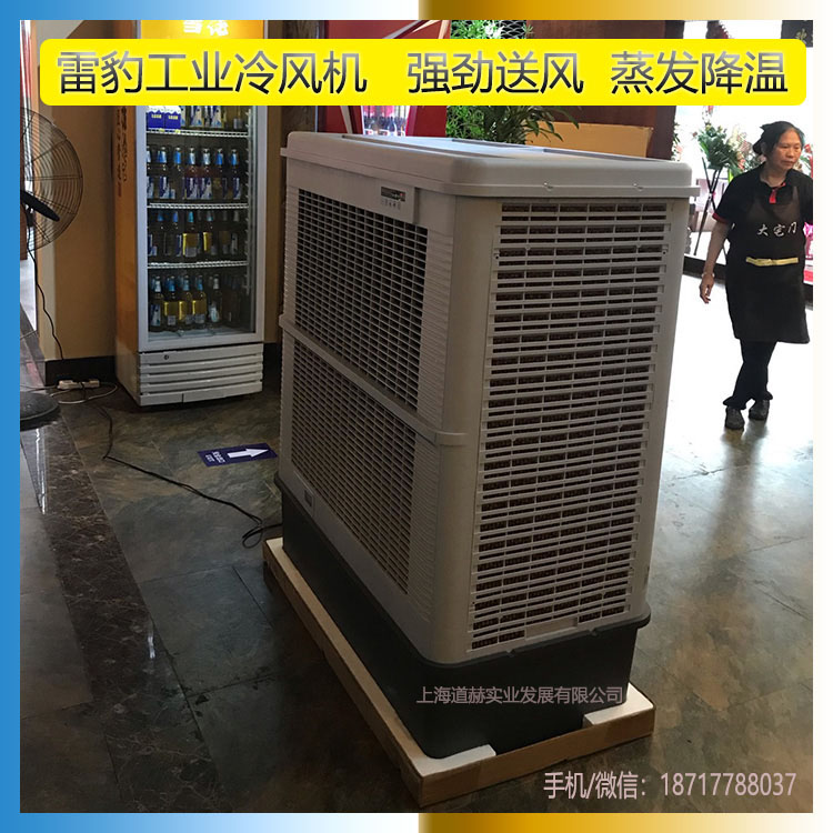 雷豹工業(yè)冷風(fēng)機(jī)700w