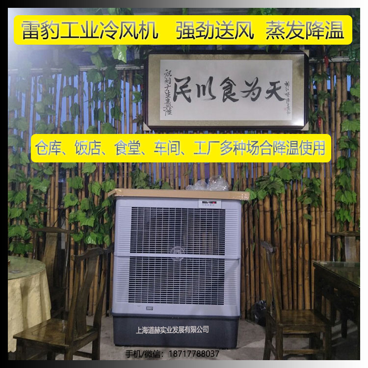 雷豹工業(yè)冷風(fēng)機(jī)700w1