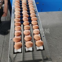 翰潤渤FJJ-5型雞蛋分級機 蛋品重量分選機 蛋品分揀設備