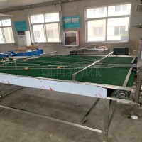 翰潤渤SDPT-500型收蛋平臺 多功能輸送機 雞蛋輸送設備