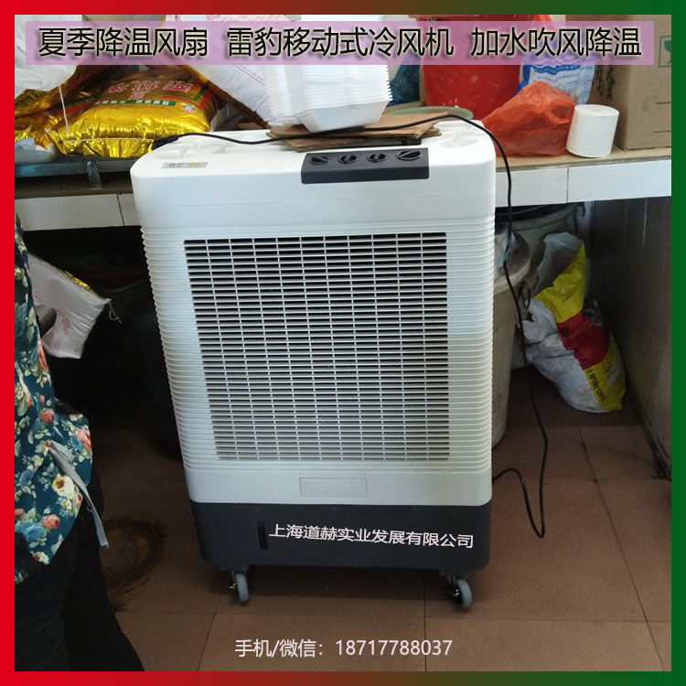 夏季通風降溫風扇雷豹移動式冷風機