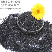 承德廠家生產銷售凈水處理污水處理用高碘值椰殼凈水炭