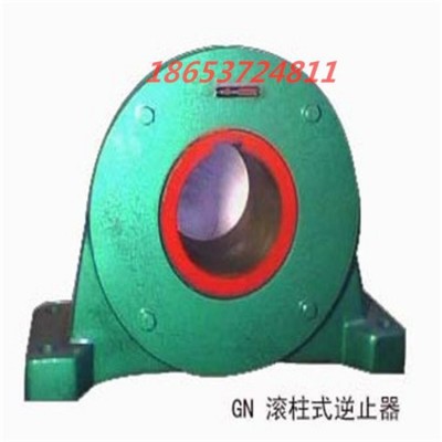 GN(DTIIN1)系列滾柱逆止器 GN型滾柱